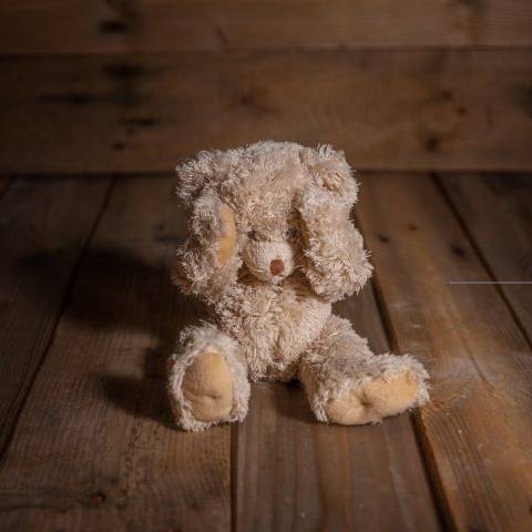 NYS Child Abuse: Identification and Reporting, 9th Edition